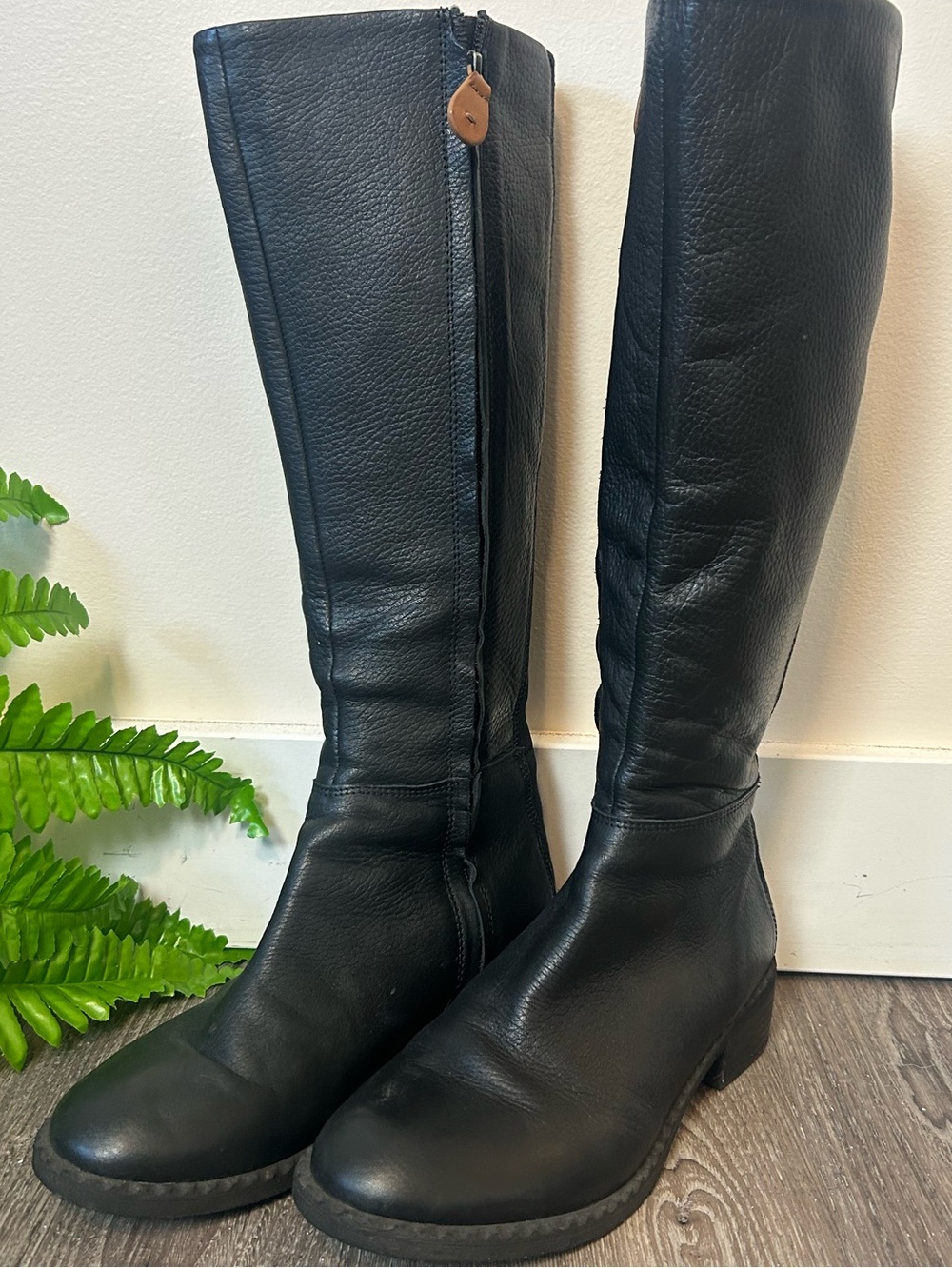 Gentle Souls Blake Tall Leather Boots Black Stretch Calf Size 8